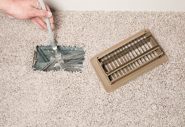 Best Air Duct Sanitizing Services  in Livingston, TX