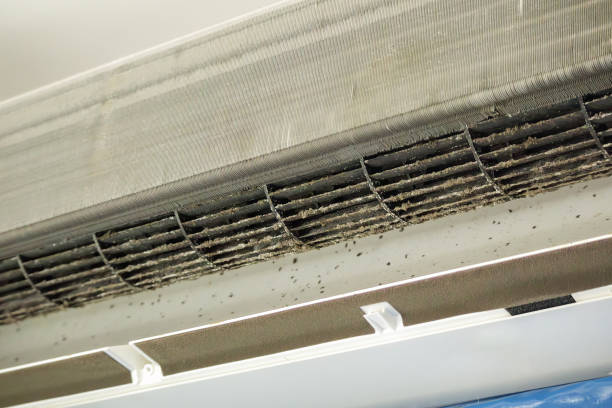 Best Residential Air Duct Cleaning  in Livingston, TX
